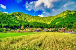 ふるさと納税で地域を応援しながらお得に特産品獲得