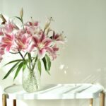 パーソナル診断で見つける、自分に似合うおしゃれな観葉植物とお花を