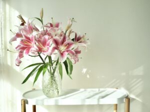 パーソナル診断で見つける、自分に似合うおしゃれな観葉植物とお花を